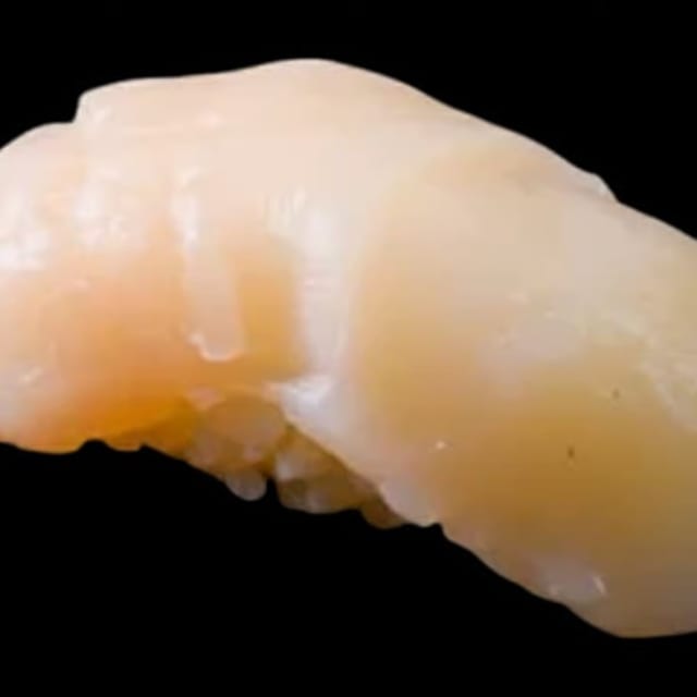 Scallop.